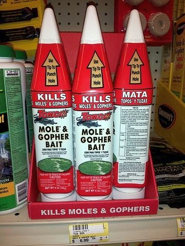 Bug Busters Pest Control - typical vole, mole and gopher bait