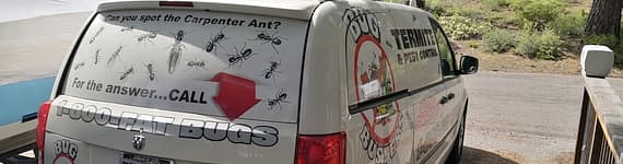 Bug Busters Pest Control - Services - Treatments